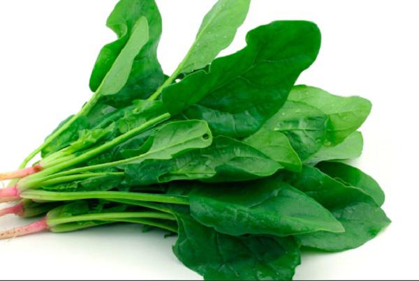 espinacas 2020-08-09