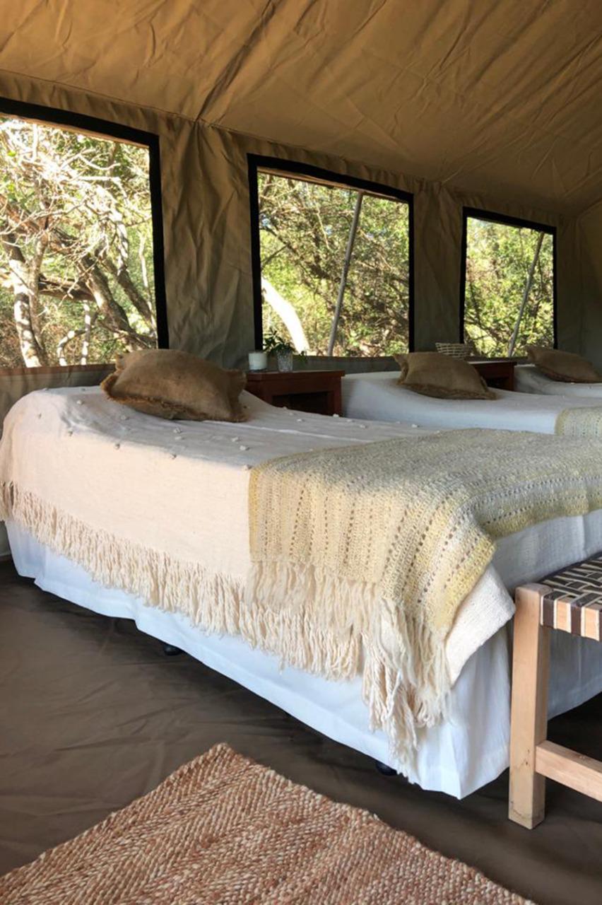 sommiers-en-carpa-Paraje-La-Armonia-El-ElImpenetrable