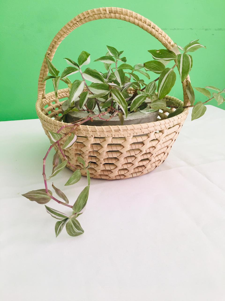 portamaceta -hecha-en-palma 2021-01-21 (02)