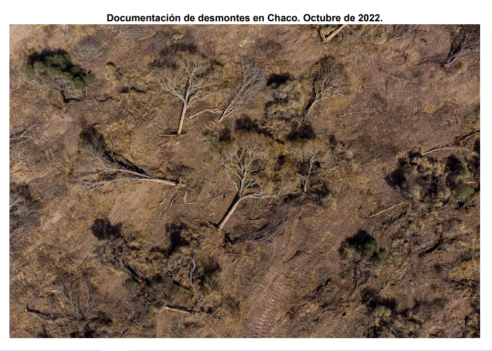 desmontes-en-Chaco