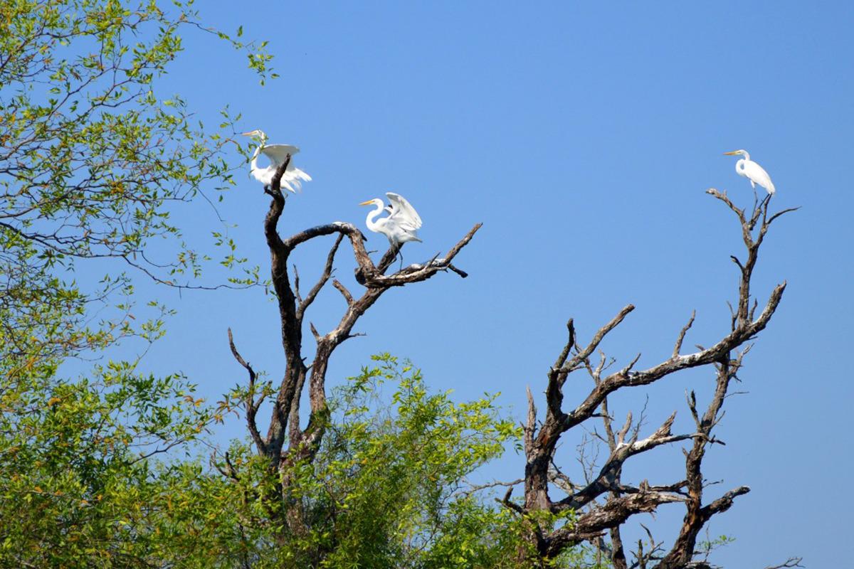 Parque-Nacional-El-Impenetrable-20-08-19-02
