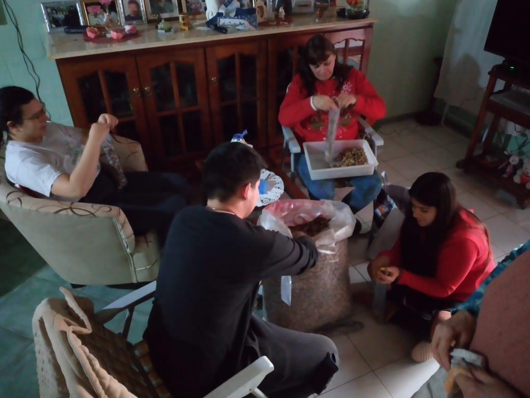 produccion-de-mani 2020-07-30