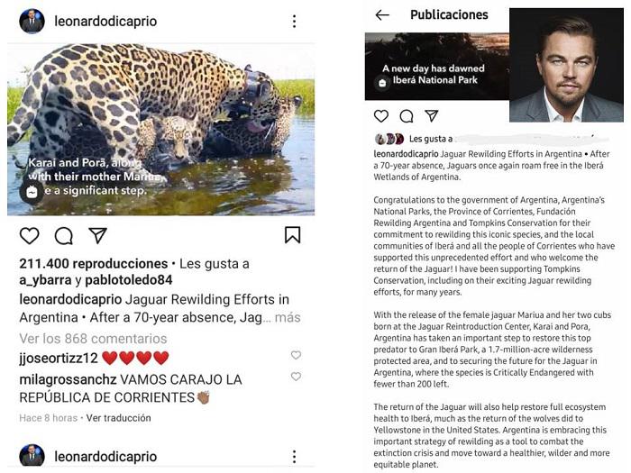 leonardo-di-caprio (01)