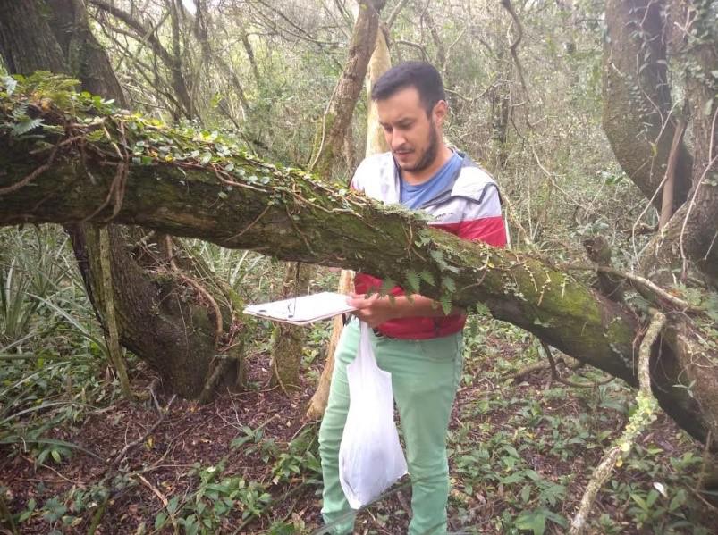 estudio-de-helechos-nativos-en-IBONE