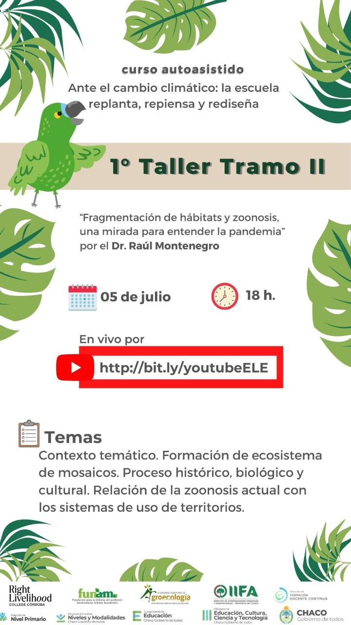 Taller diversidad. R. Montenegro 5 de julio