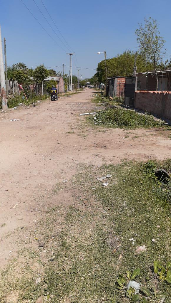 barrio-zampa 2020-09-28