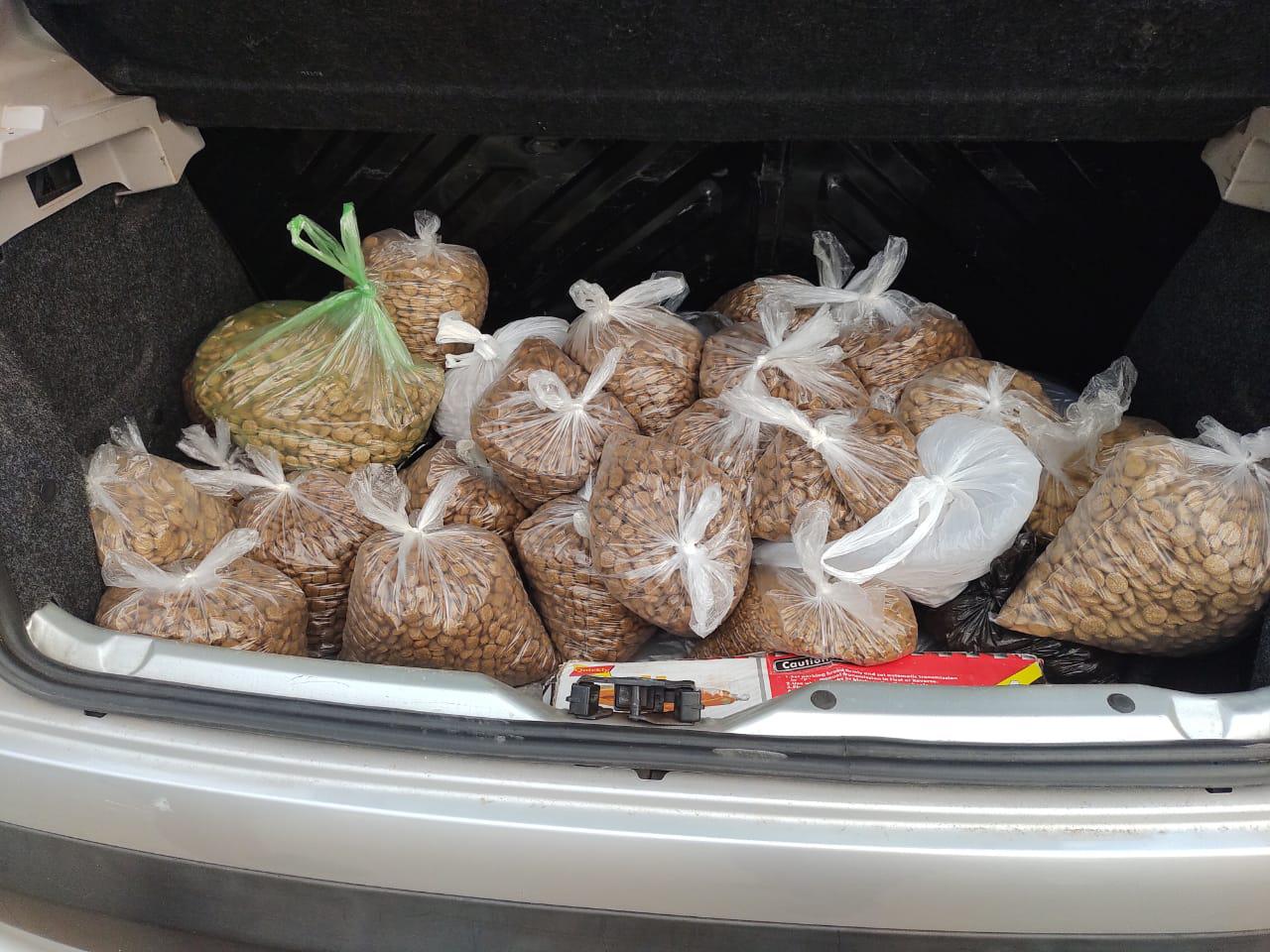 asistencia-a-perros-en-Puerto-Vilelas_3