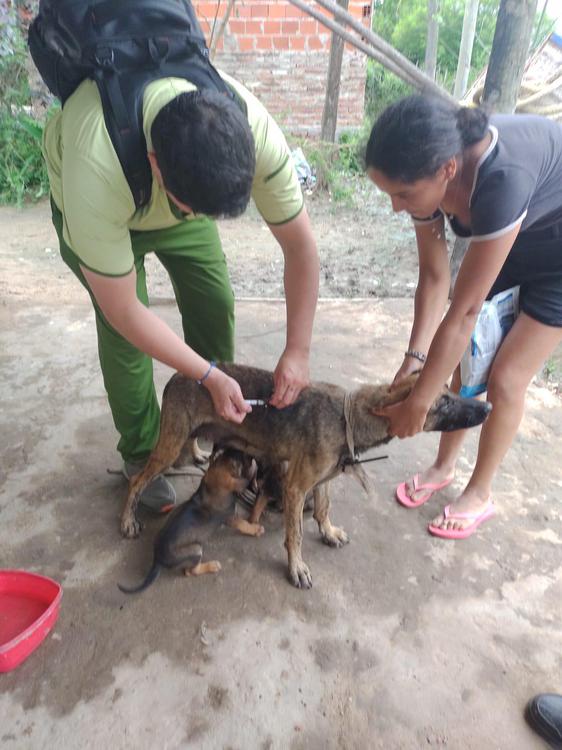 asistencia-a-perros-en-Puerto-Vilelas_1