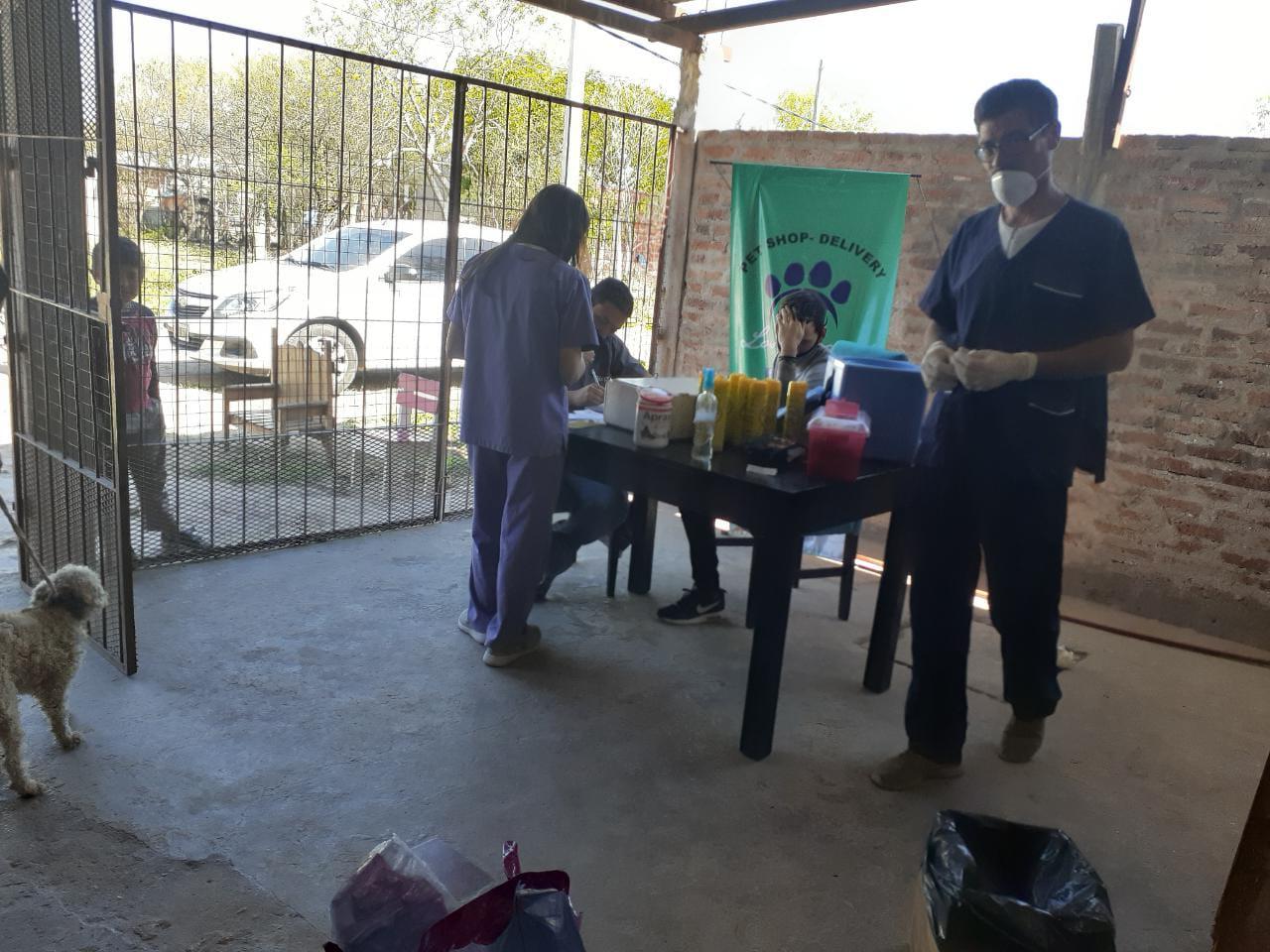 vacunacion-antirrabica-barrio-zampa 2020-09-28