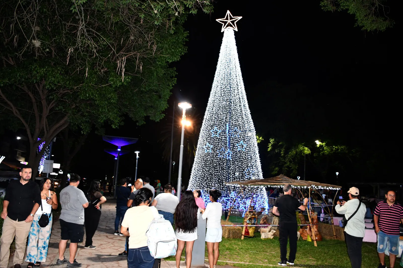 Ya se encuentra el árbol navideño en la plaza central de Resistencia