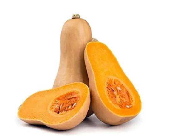 Zapallo - calabaza (01)