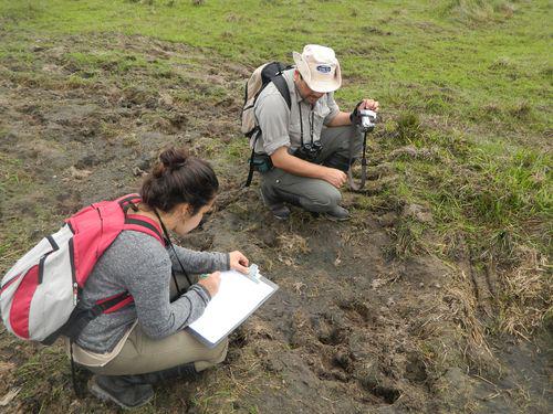 investigacion- Mastofauna -del- Iberá- reducido