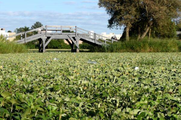Lagunas-de-resistencia_1