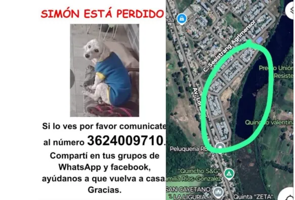 piden-ayuda-para-que-aparezca-Simon-el-perro