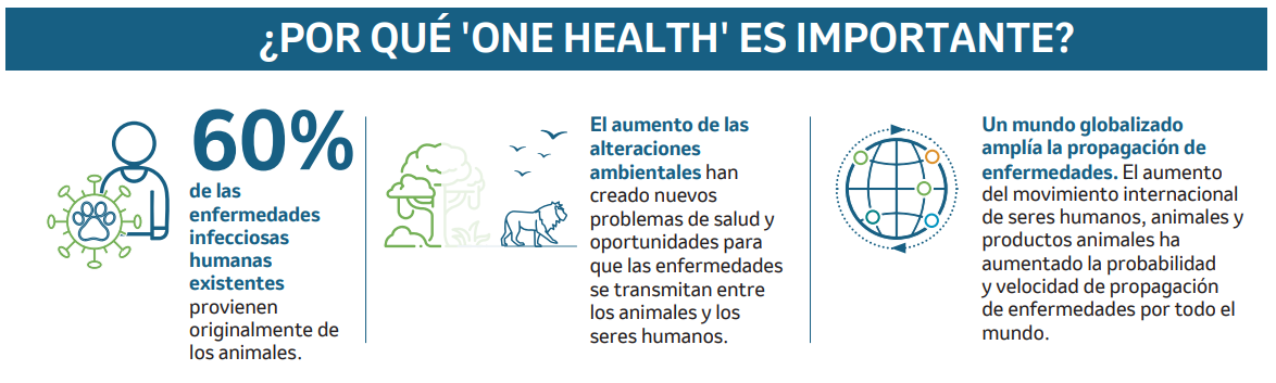 One-Health-01