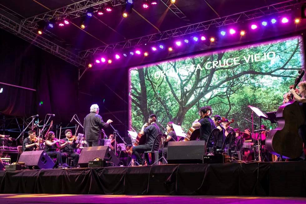 Festival -Nacional- del- Taninero- Convocatoria