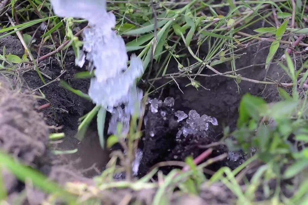 hidrogel-en-plantas-en-anos-secos