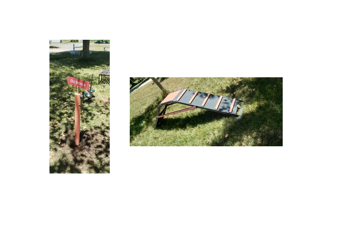 espacio-de-hidratacion-y-entretenimiento-para-mascotas_1