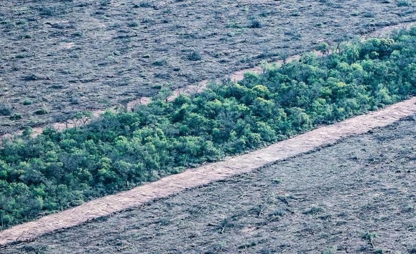 deforestacion-en-Chaco