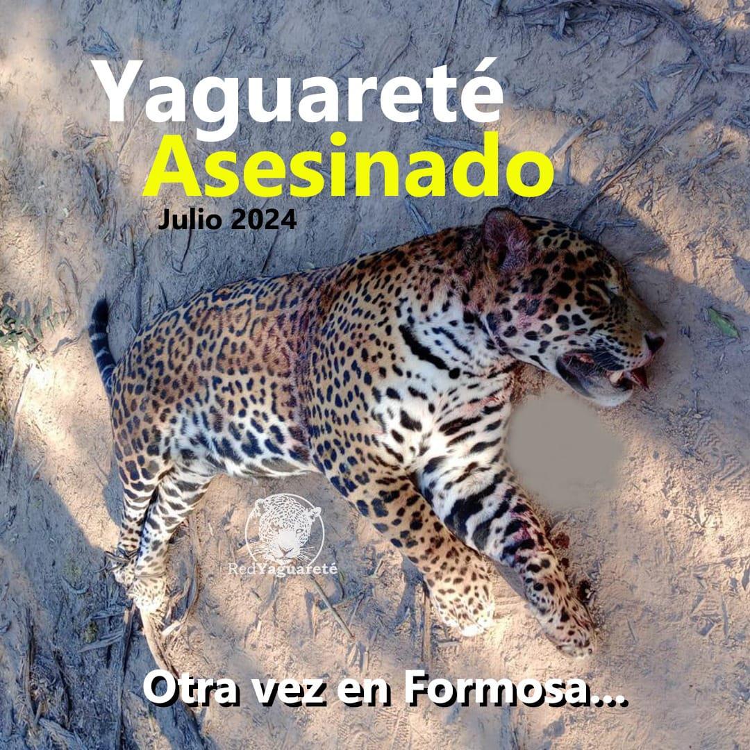 yaguarete-asesinado-en-Formosa