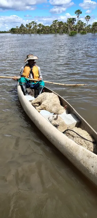 operativo-de-rescate-de-animales-en-colonia-tacuari