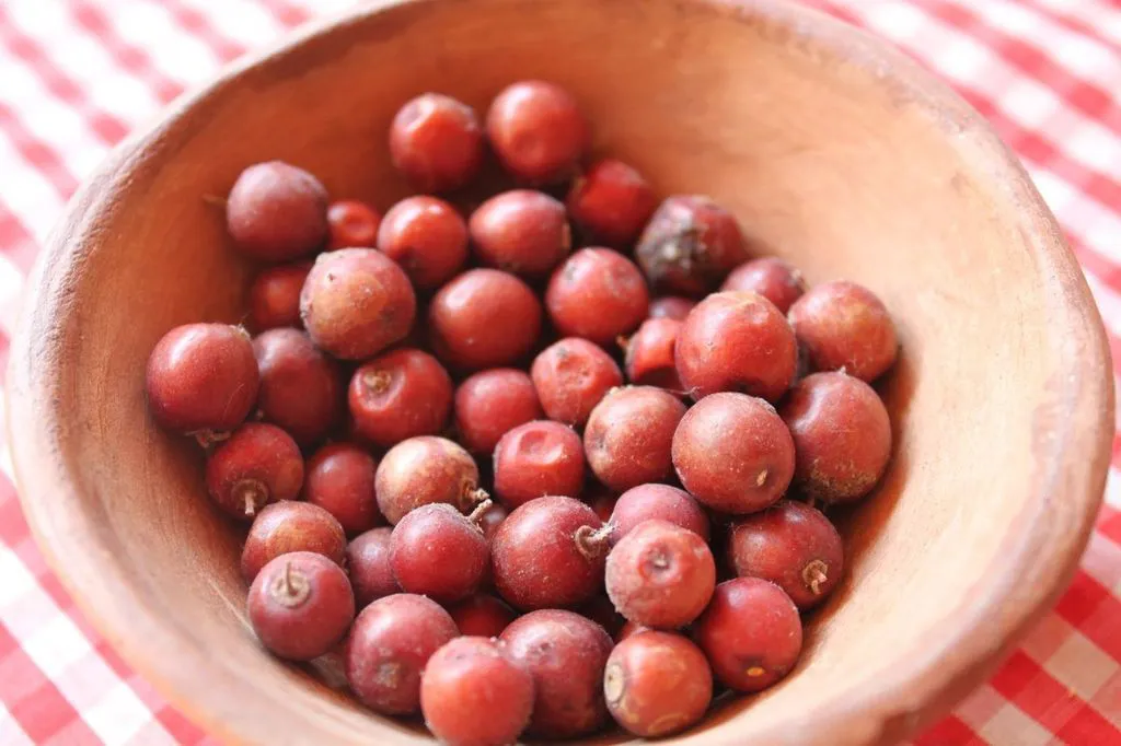 fruto- del- Mistol_1