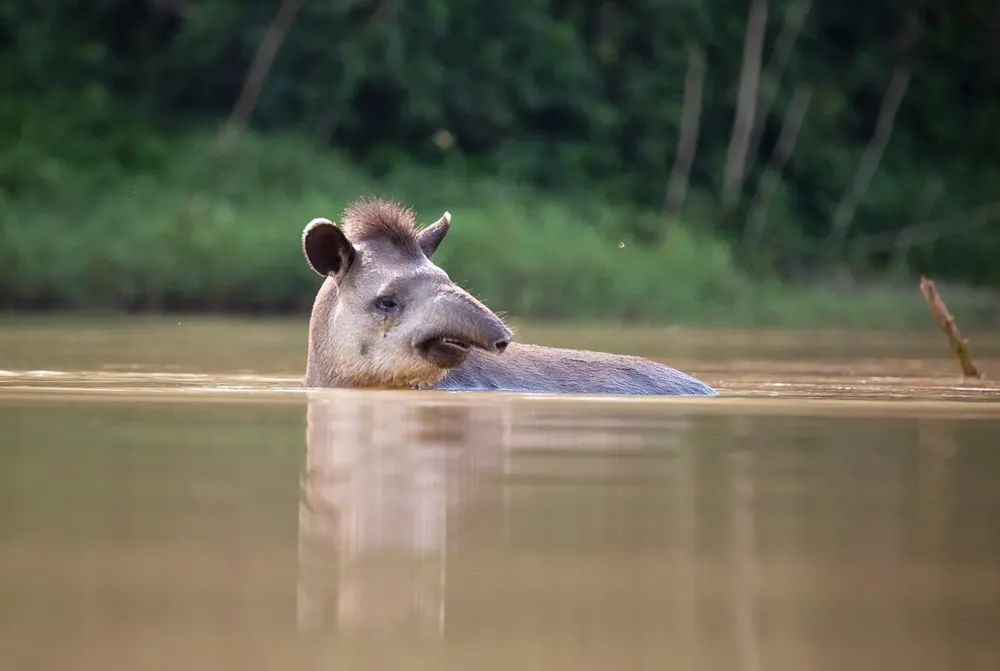 turismo-de-naturaleza-3