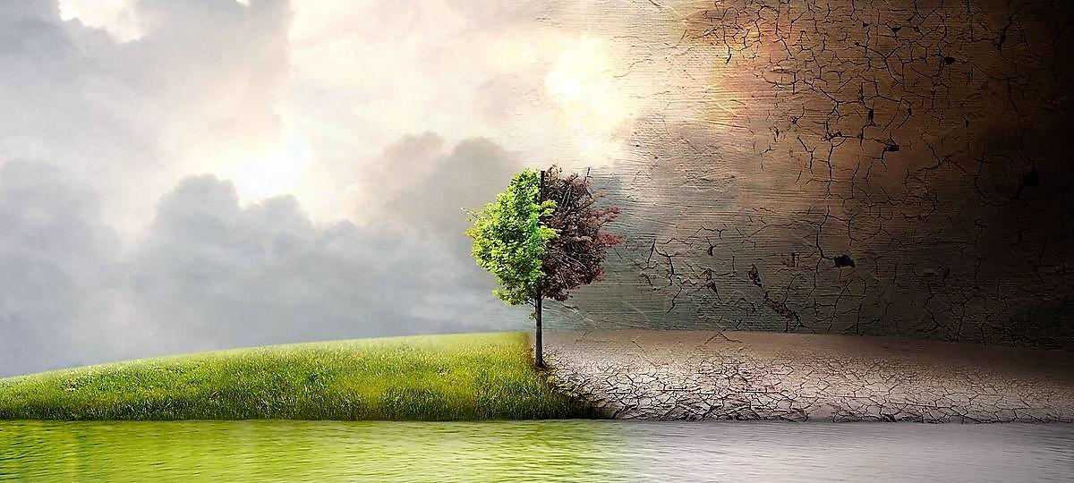 film-antes- que -sea- tarde _1