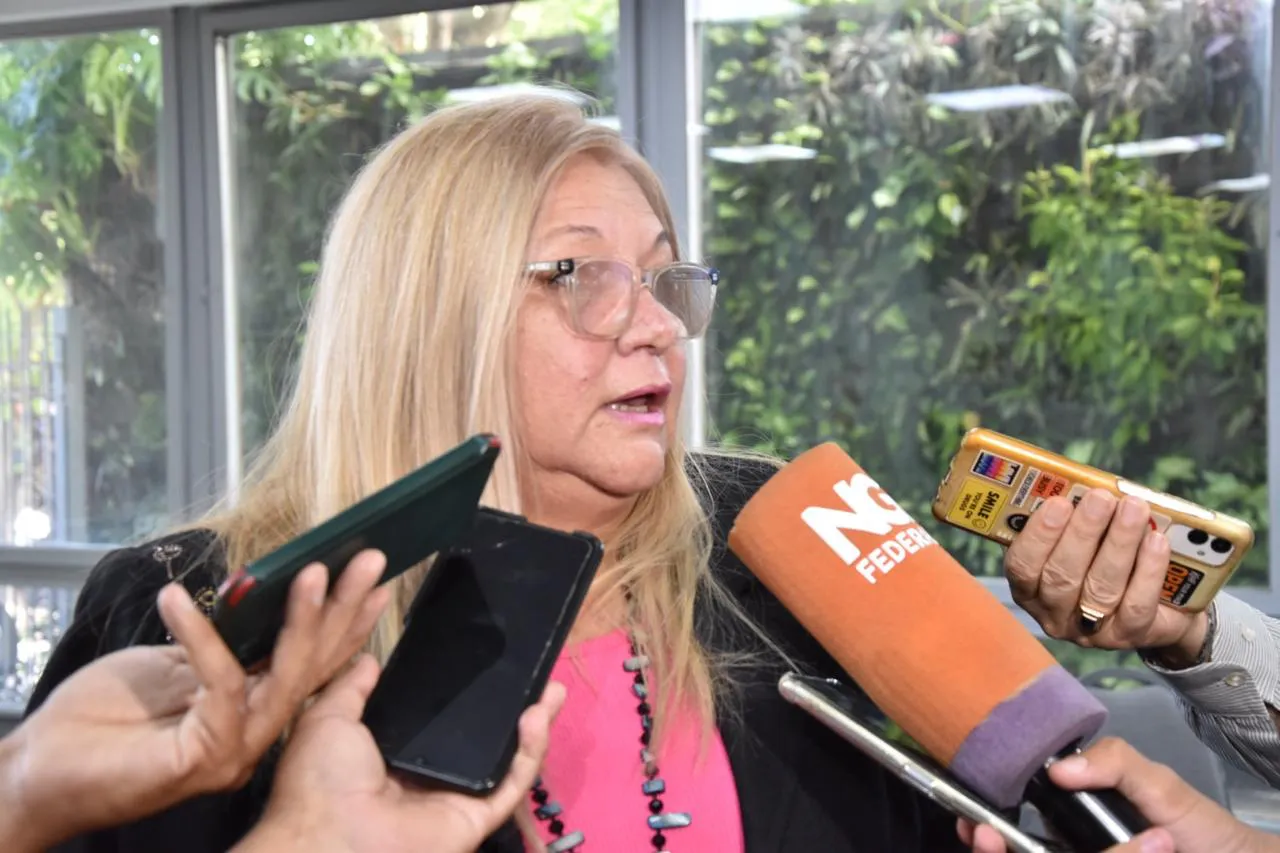 Carmen-Delgado-diputada-provincial_1