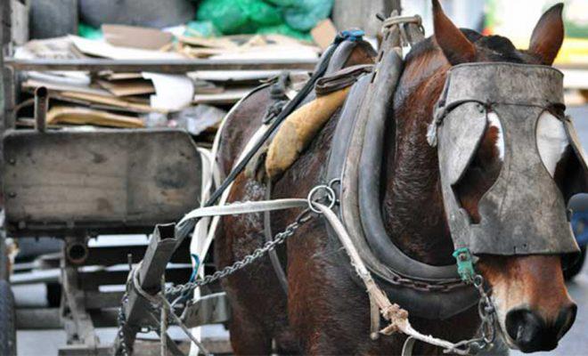 carro-con-caballo-01