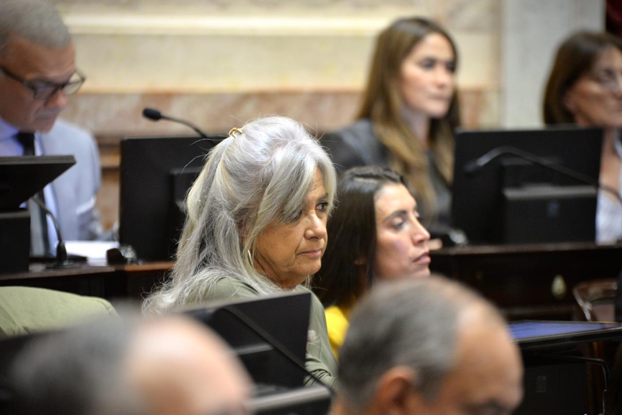 senadora-Pilatti-Vergara_1
