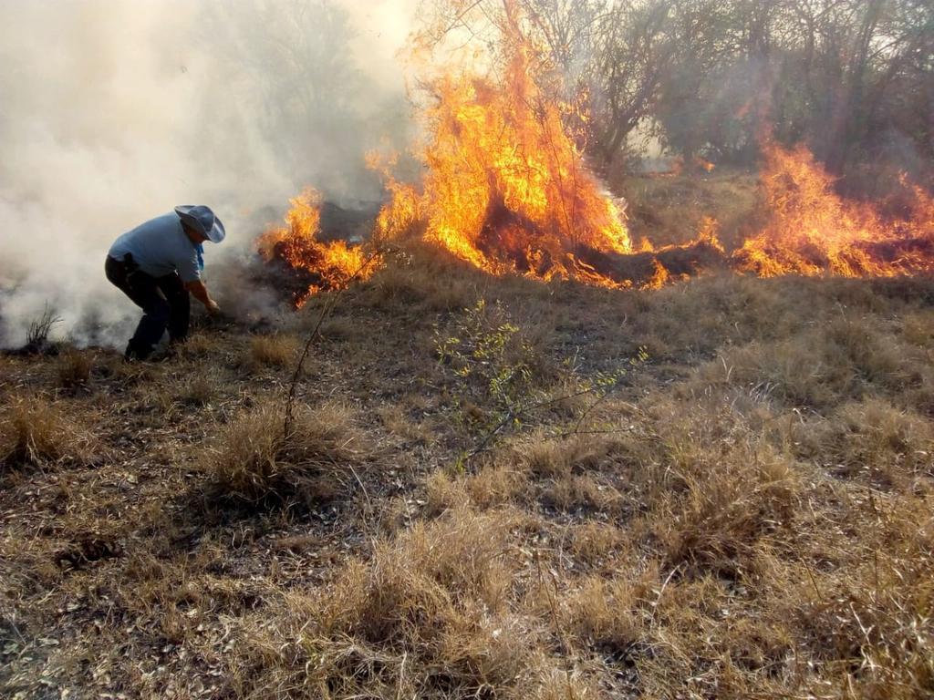 incendio-campos-colonias-unidas-chaco -04