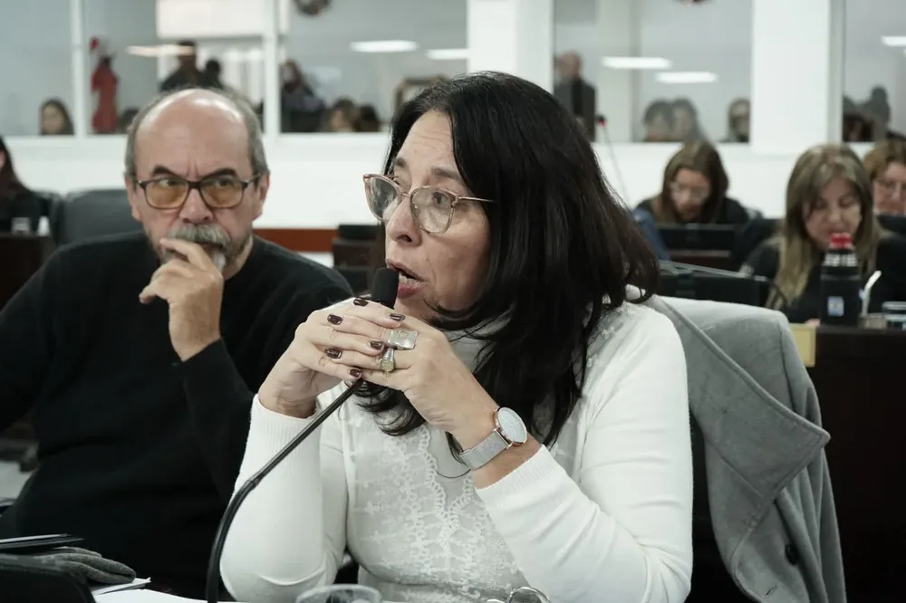 diputada-analia-flores-01