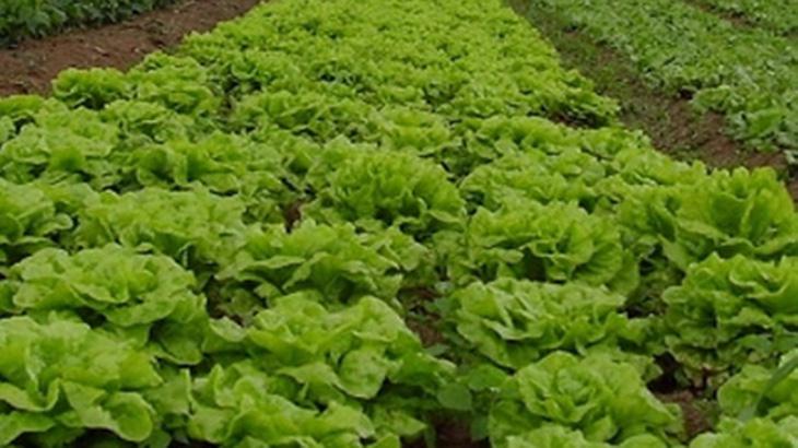 agroecologia