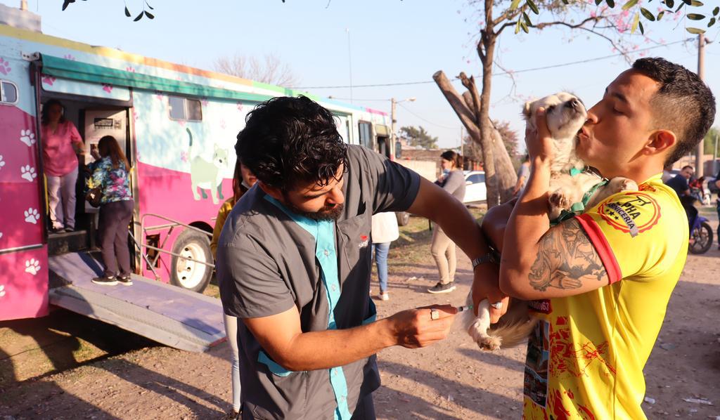 castración -gratuita-de-perros-y-gatos