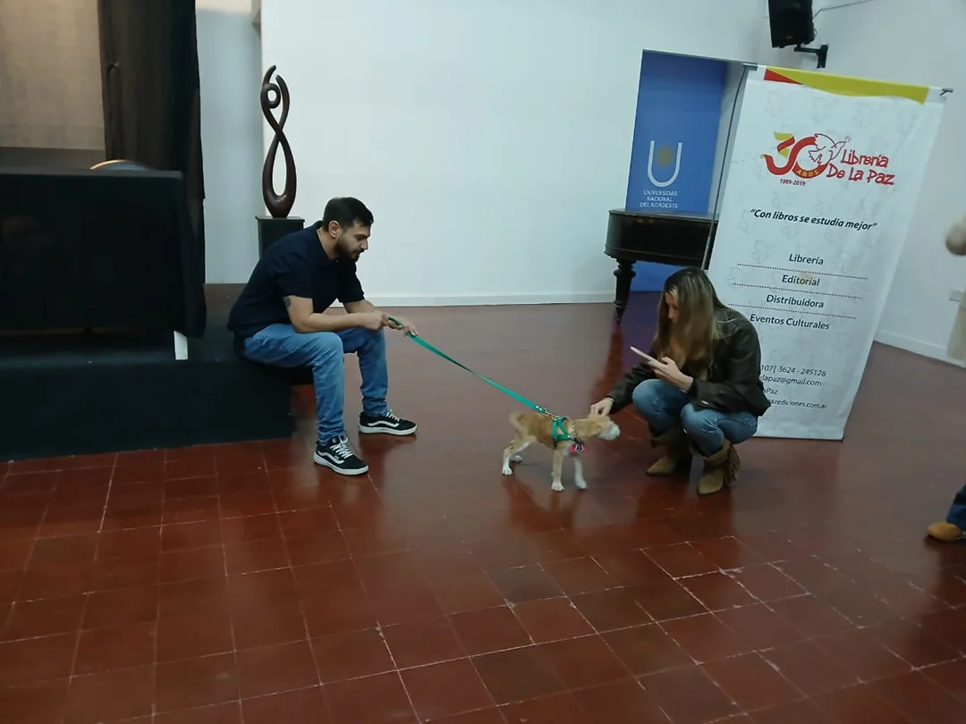 perrro-raul-en-el-curso-superior-de-derecho-animal-2026-08-28(2)