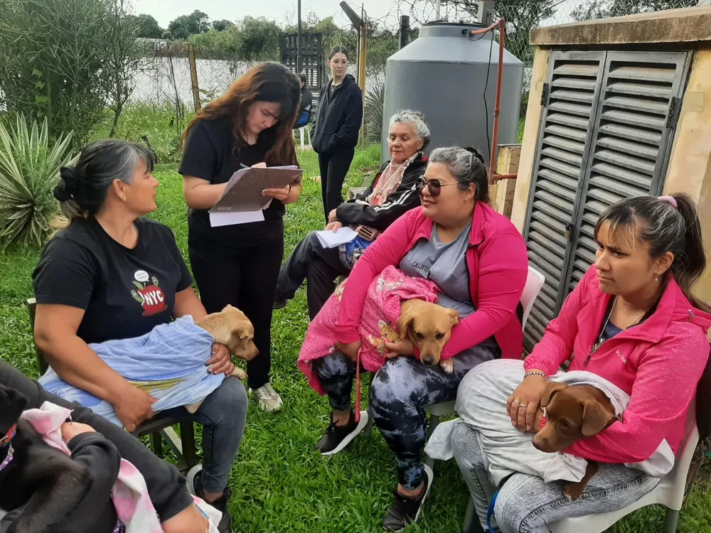 castraciones-a-perros_1