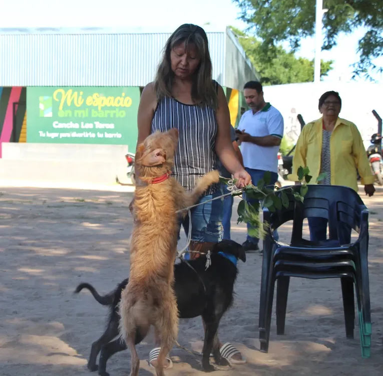 jornada-de-vacunacion-antirrabica-en-barrio-Los-Teros-4