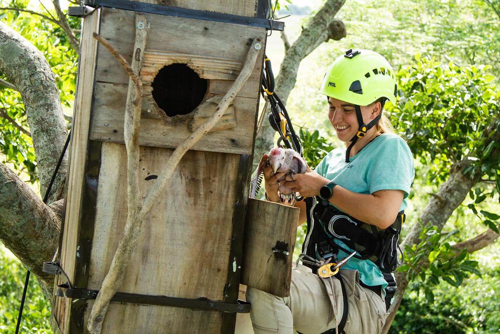 voluntariado-abierto-fundacion-Rewilding-Argentina