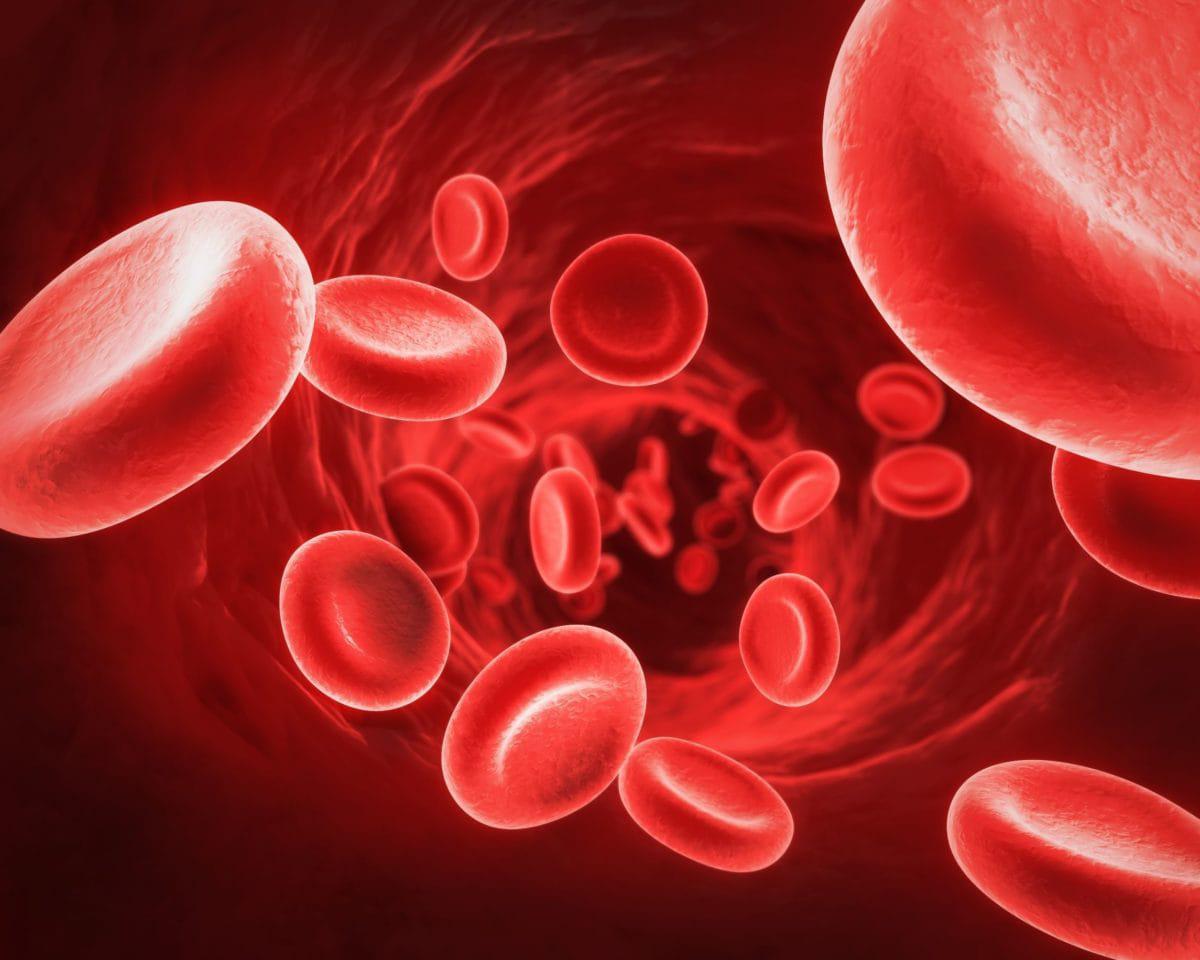 sindrome-uremico-hemolitico_1