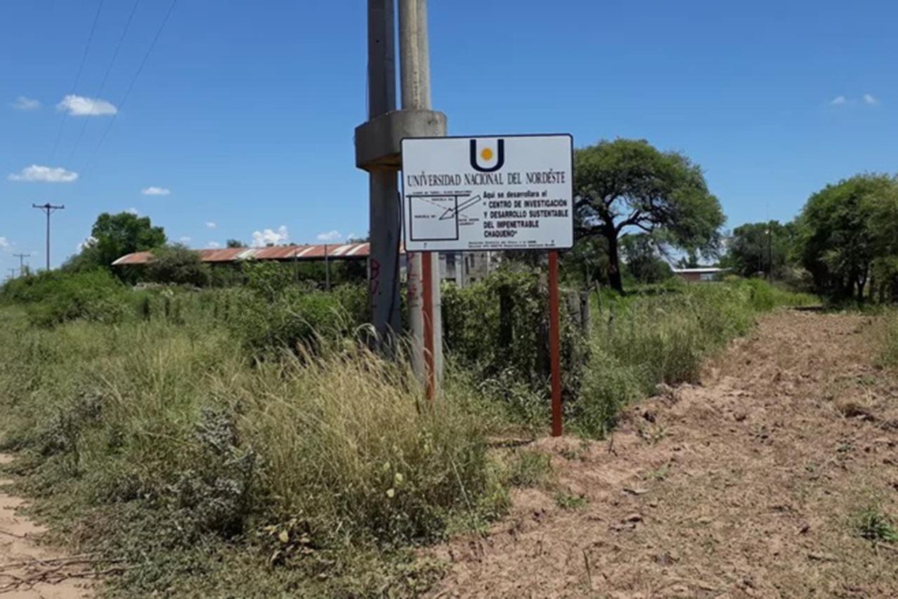 centro- de- investigación- para- el -desarrollo- de-el- impenetrable- chaqueno