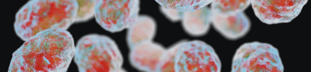 zoonosis