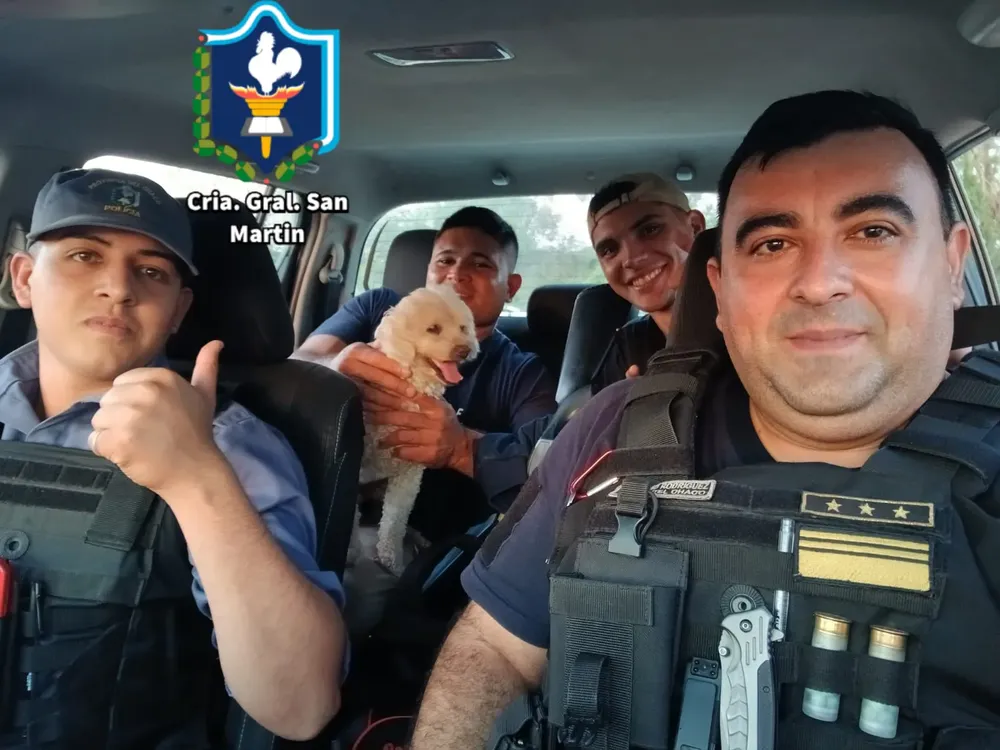 perro-caniche-recuperado-por-agentes-de-la-Policia