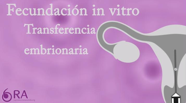 fecundacion-invitro -01