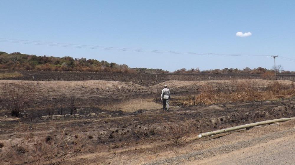 registro- de- incendios -en-corrientes-01