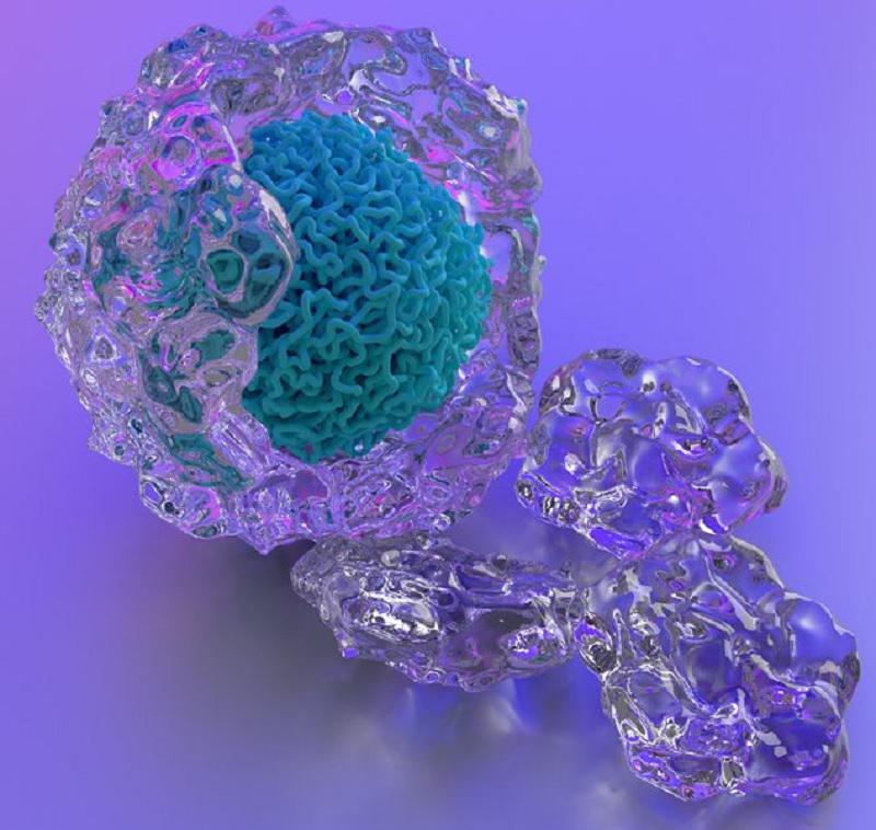 poliovirus_1