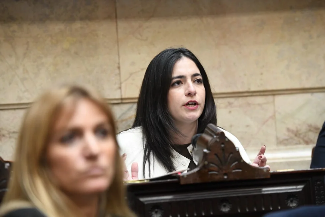 Julieta-Campo-diputada-nacional-union-por-la-patria_1