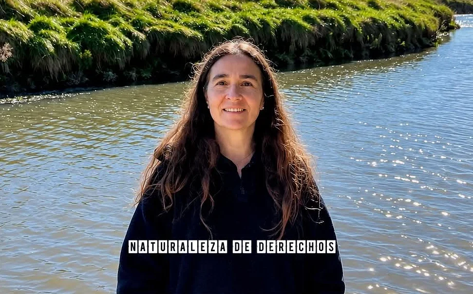virginia-Apararicio_1