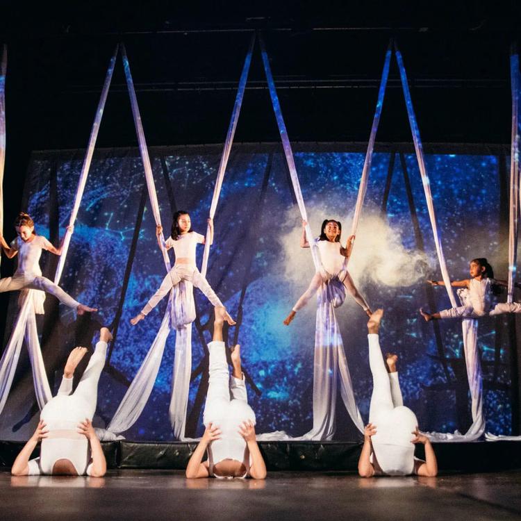acrobacia-aerea_1