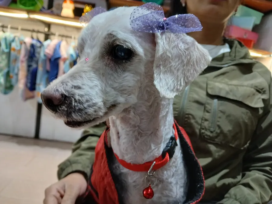 Perri-Julia-25-08-08-02